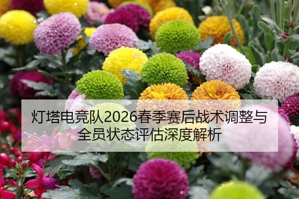 灯塔电竞队2026春季赛后战术调整与全员状态评估深度解析