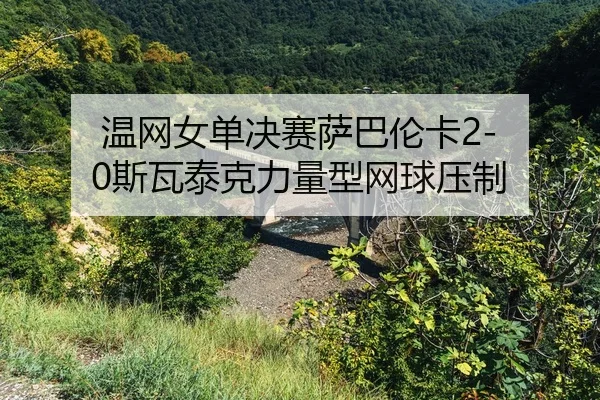 wen-wang-nv-dan-jue-sai-sa-ba-lun-ka-si-wa-tai-ke-li-liang-xing-wang-qiu-ya-zhi-2-248.jpg